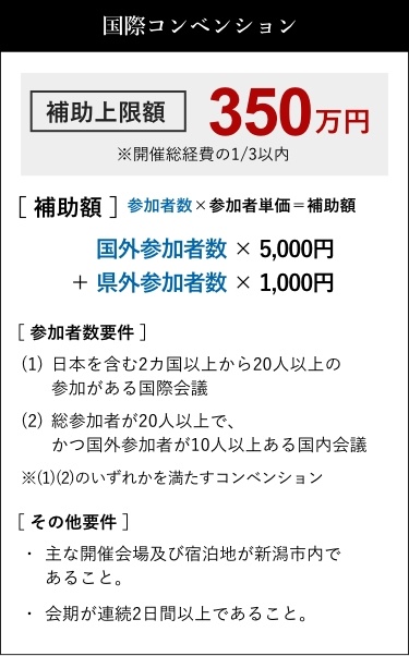 国際コンベンション 補助上限額350万円※開催総経費の1/3以内